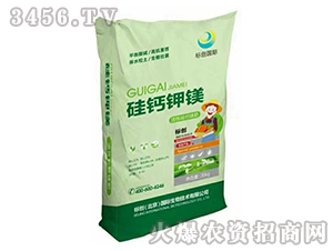 ���}��V-�˄�(chu��ng)���H