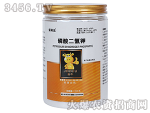 1000g��������-�Z���_