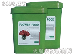 �r�л����r��-�p������