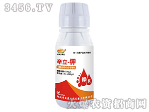 ���ϑB(t��i)С�����-����