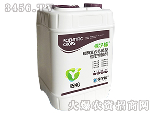 ΢�������-̼ø��(f��)�϶����-�ÌW(xu��)��