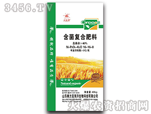 ������(f��)�Ϸ���-��֩��-������