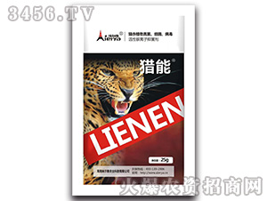 �����y�x���־���-�C��-������