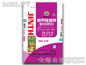 ���ȩ��ጏ�(f��)�Ϸ���24-22-6-�x�컯