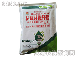 �ݲ�ѿ�ߗU��-��ɽ����