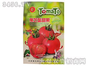 ԥˇ�����-���ѷN��-ԥˇ