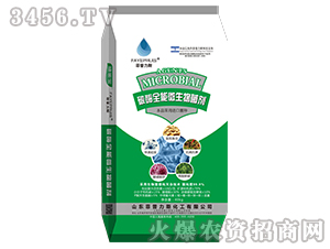 ̼øȫ��΢�������-������˹