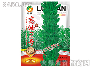 ֥��N��-����2̖(h��o)-����