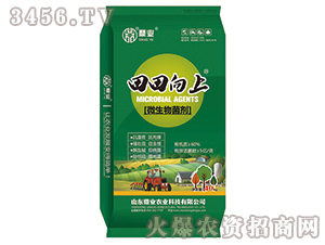 ΢����������G��-��������-���I(y��)