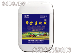 �S��������-���I(y��)