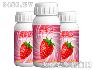 ݮ���_(d��)-��Ȫ�r(n��ng)�I(y��)