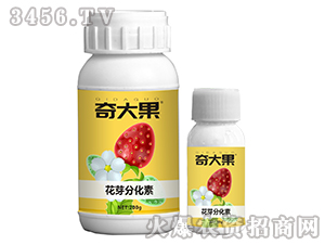 ��ѿ�ֻ���-����-��Ȫ�r(n��ng)�I(y��)