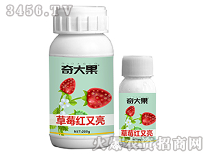 ��ݮ�t����-����-��Ȫ�r(n��ng)�I(y��)