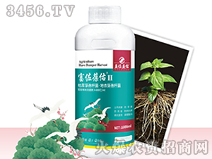 ��������II-��������