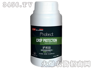 ֲ�：(x��)�����ф�-�o(h��)�̲�-������A