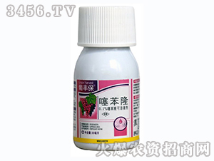 �籽¡-���S��-�G�D����