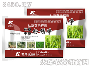 ���������P��-�P���