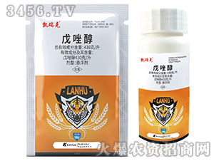 ����-�P���