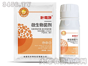 ΢�������-�~ù��-��ɫ���