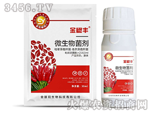 ΢�������-���S-��ɫ���