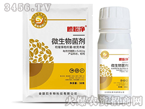 ΢�������-Ó�ۃ�-��ɫ���