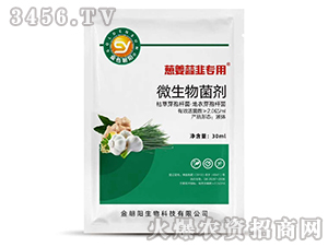 �[�������΢�������-��ɫ���