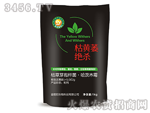 ���Sή�^��-��ɫ���