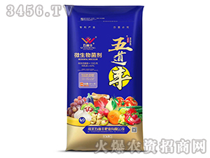 10�|΢�������-����S