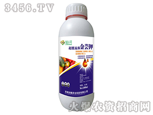 �������w���|�-��ֲ