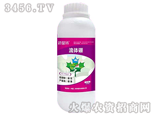 ���w��-�����