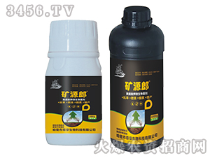 �S�����΢�������-�VԴ��-��������