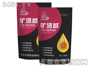 �VԴ���������߾�-�VԴ��-��������