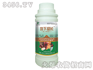 �������L-���S�f¡