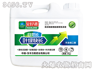 �ߝ�s��ֲ����������Һ-�~�G���L-���S�f¡