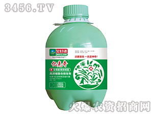 ��������ֲ��͏�(f��)��΢�������-�|����-���S�f¡