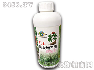 ����������a(ch��n)��-��(y��u)��-��������