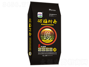 ̼ø����-�����f�@-��Z�r(n��ng)�I(y��)