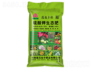 ��������B(t��i)��-ɏ�����S-ɏ������