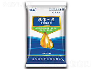 �����~ï���S����_����-��ʥ