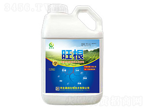 �������ͷ���-����-�W�G����