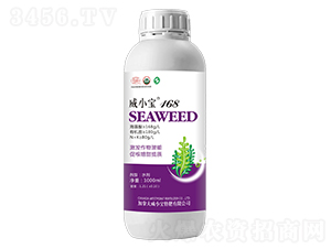 ��С��168-��巉�