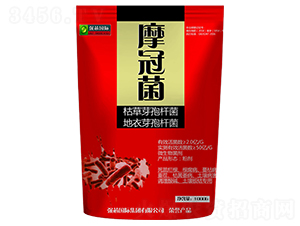 ΢�������-Ħ�ھ�-��о���H