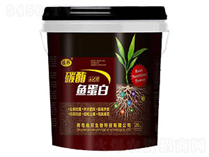 ̼ø�~����-����