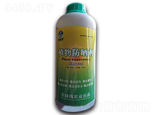 ֲ�����-ؐ�G��