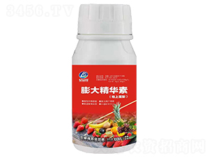 ����A�أ��������䣩-ؐ�G��