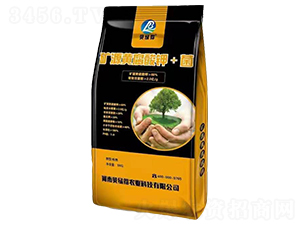 �VԴ�S�����+��-ؐ�G��