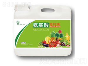 �����ᵪ�}�V-��ؾG