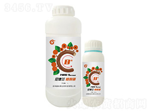 �Ǵ���-����m-��ؾG