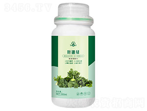 �~�پG��΢���������-��p�p-�������