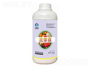 ���w�V-ؐ�G��